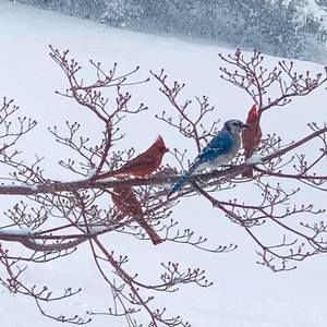 Meet your Posher, Kathy